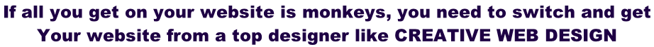 If all you get on your website is monkeys, you need to switch and get  Your website from a top designer like CREATIVE WEB DESIGN