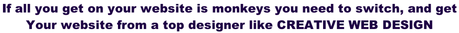 If all you get on your website is monkeys you need to switch, and get  Your website from a top designer like CREATIVE WEB DESIGN